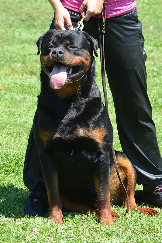 Yumbo von der Alten Festung Yumbo von der Alten Festung